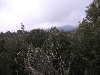 nte Ilice-20110120 046